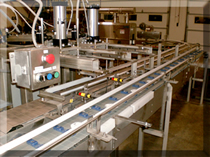 Case Packer